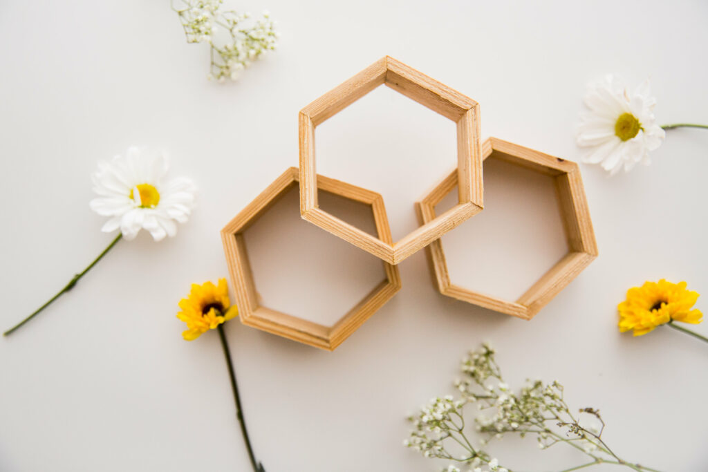 honeycomb shaped wood pieces